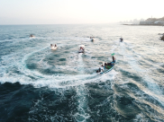 فيديو: كما جرت العادة في كل عام - صيادو يافا ينظمون استعراضاً بالقوارب خلال صلاة العيد 